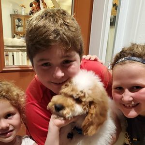 Meet your Posher, Tiffany